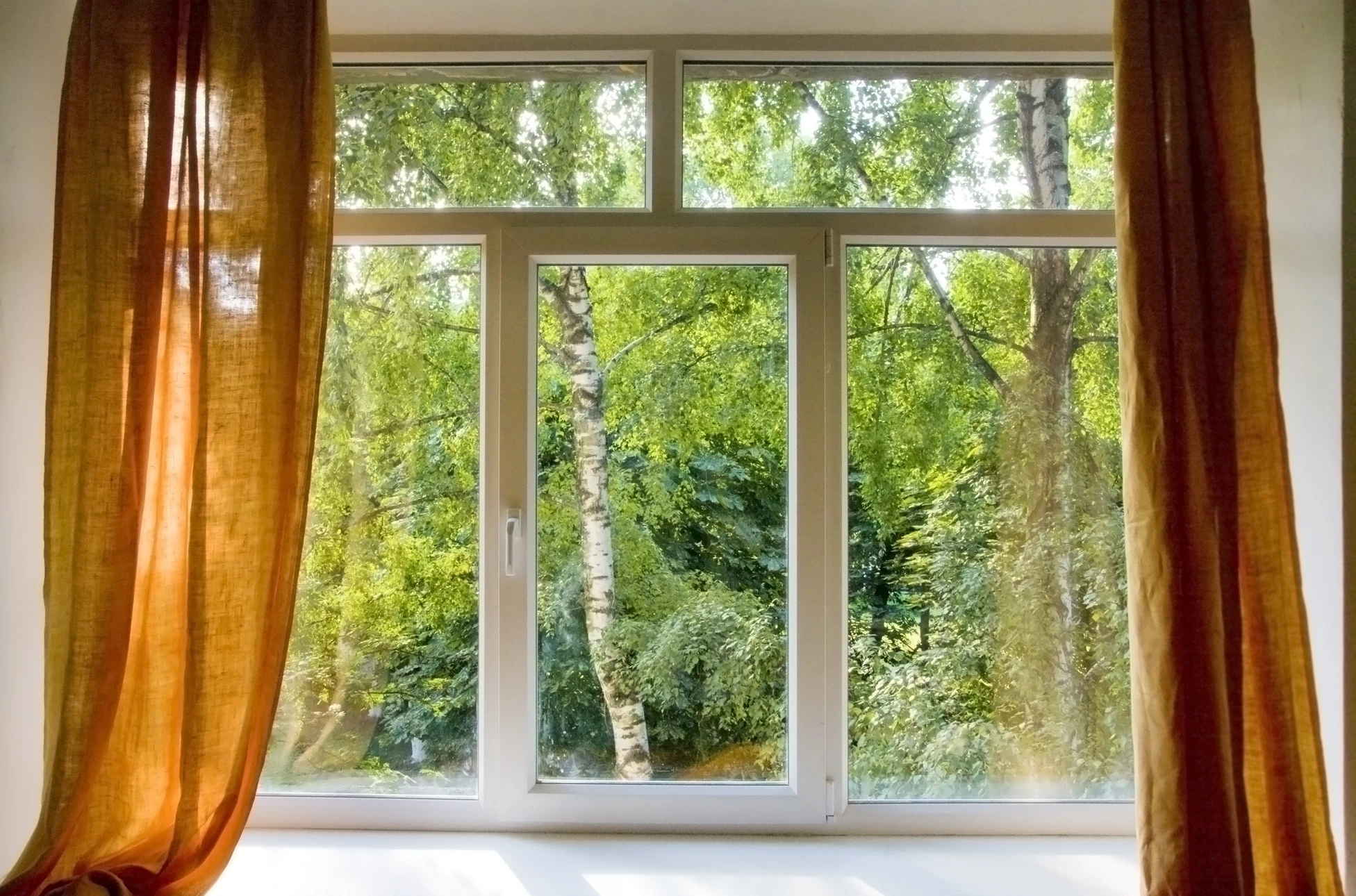 Intérieur résidentiel avec grande fenêtre à châssis blanc donnant sur jardin arboré